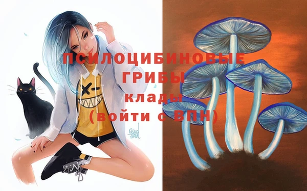 гидропоника Алексин