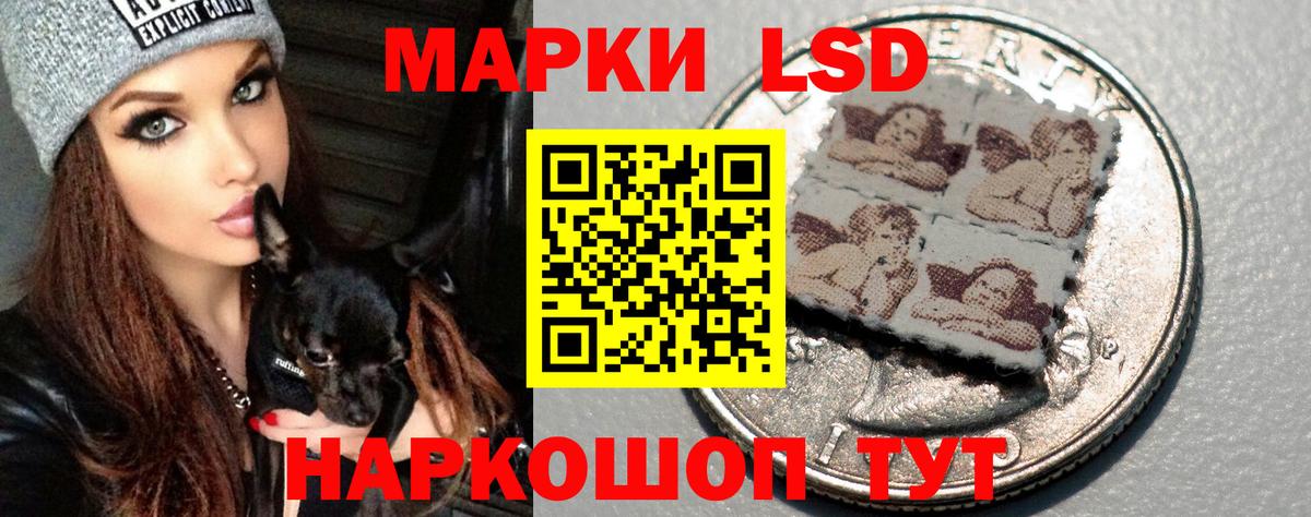 Лсд 25 экстази кислота  LSD-25 экстази  ЛСД экстази ecstasy  Лесной  Вход с VPN 