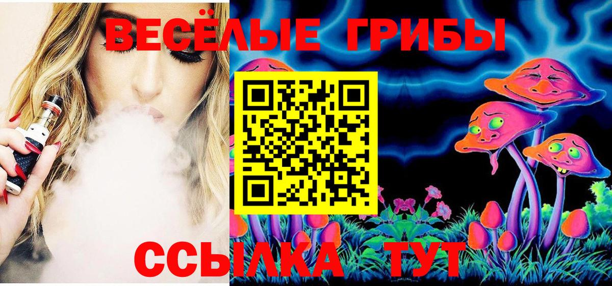Галлюциногенные грибы GOLDEN TEACHER  Вход с VPN  Лесной  Псилоцибиновые грибы мицелий 