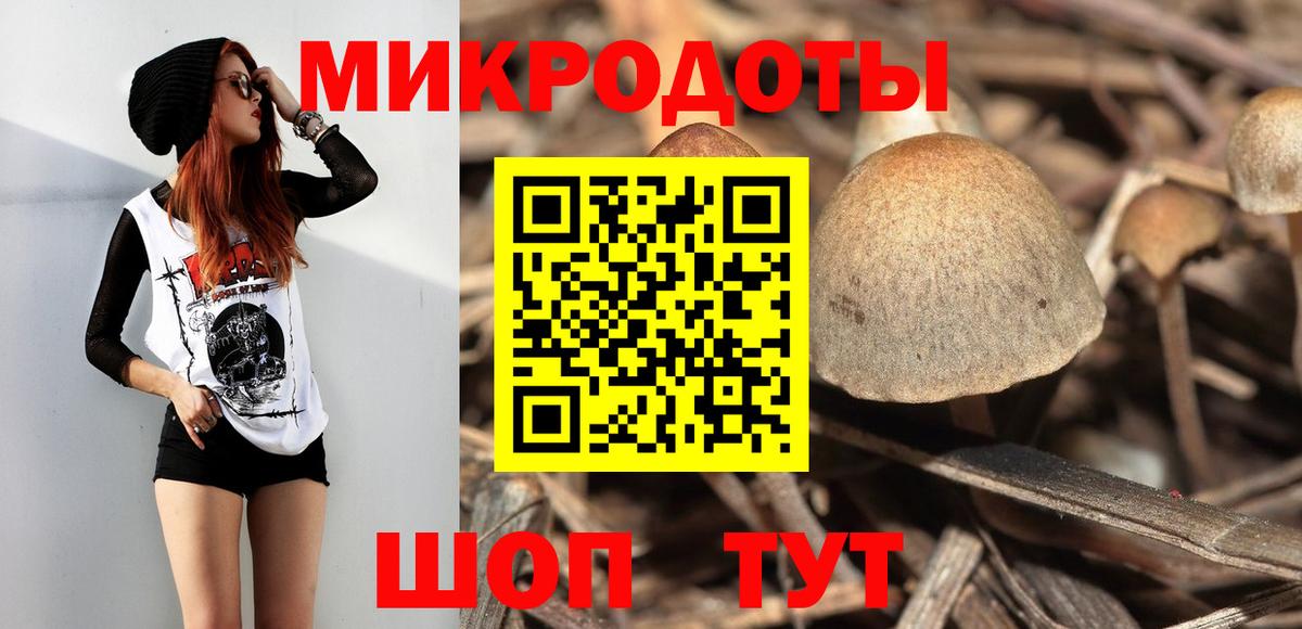 Псилоцибиновые грибы Psilocybine cubensis Лесной